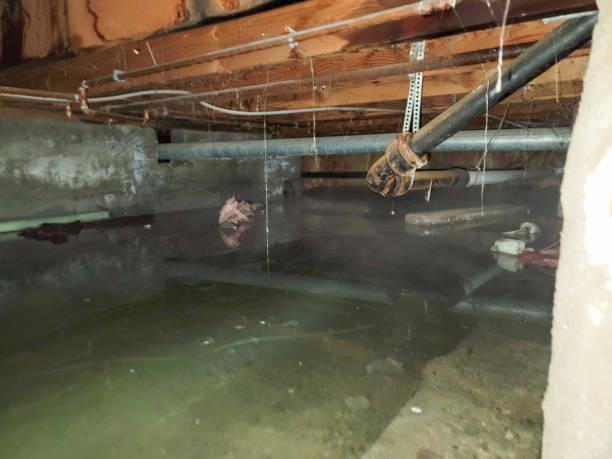 Best Local water damage restoration  in Robertsville, NJ