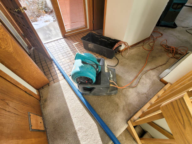 Best Fire Damage Restoration  in Robertsville, NJ
