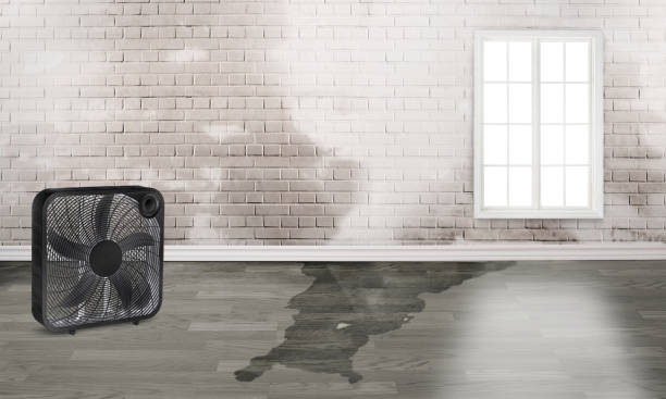 Best Sewage cleanup and water damage restoration  in Robertsville, NJ