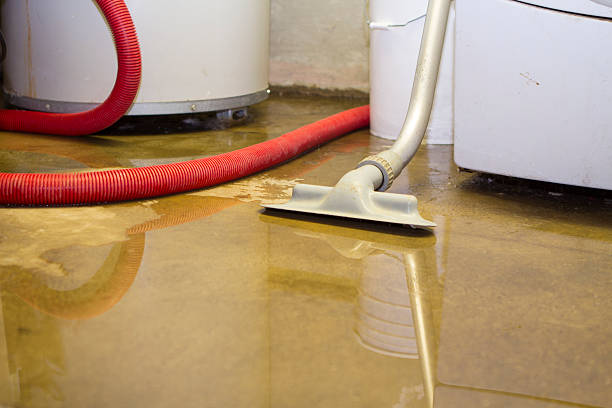 Trusted Robertsville, NJ Water damage restoration Experts