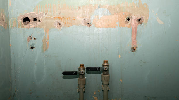 Best Ceiling water damage repair  in Robertsville, NJ