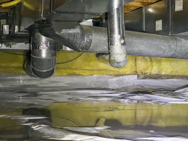Best Professional water damage repair  in Robertsville, NJ