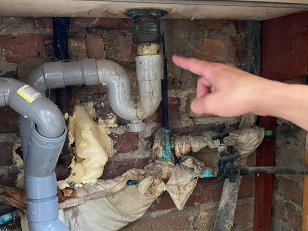 Best Water damage cleanup near me  in Robertsville, NJ