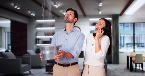 Best Water damage restoration experts  in Robertsville, NJ